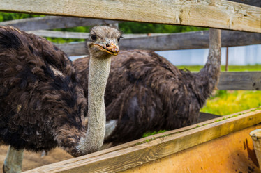 Similar image 20109597