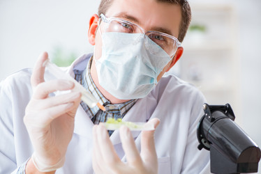 Similar image 20153742