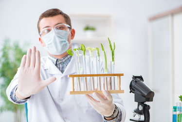 Similar image 20153750