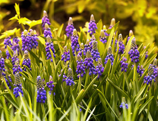 Similar image 20112146