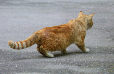 Similar image 20112759