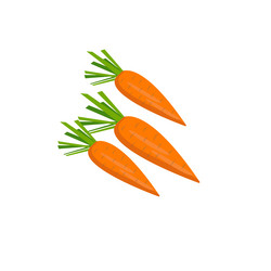 Similar image 20160187