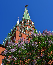 Similar image 20118375