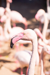 Similar image 20113440