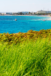 Similar image 20113456