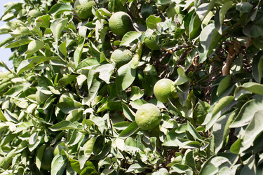 Similar image 20113460