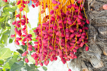 Similar image 20113461