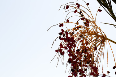 Similar image 20113498