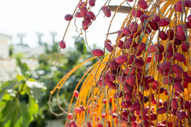 Similar image 20113502