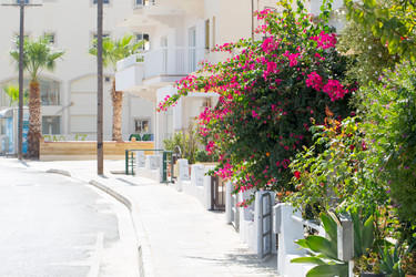 Similar image 20113506