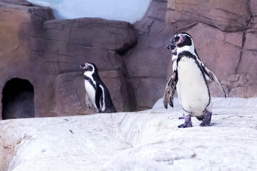 Similar image 20113531