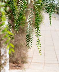 Similar image 20113535