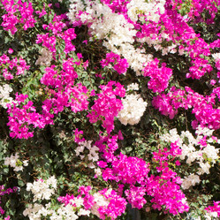 Similar image 20113537