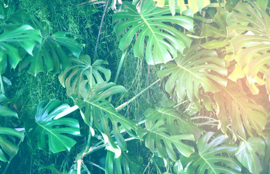 Similar image 20161074