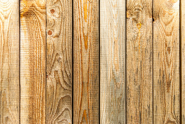 Similar image 20113543