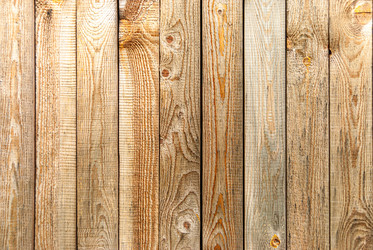 Similar image 20113545