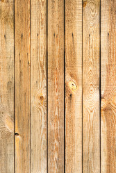 Similar image 20113554