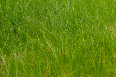 Similar image 20113593