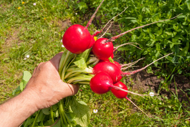 Similar image 20113601