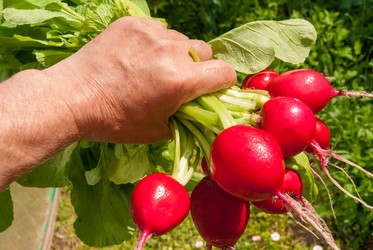 Similar image 20113613