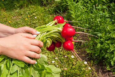 Similar image 20113617