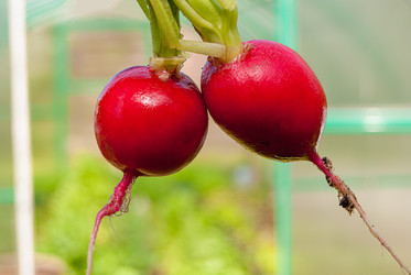 Similar image 20113628