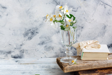 Similar image 20113976