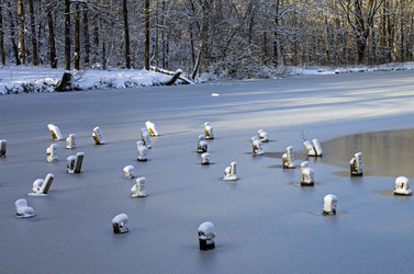 Similar image 20114231