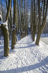 Similar image 20114232