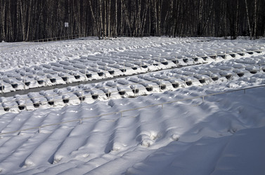 Similar image 20114234