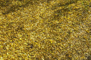 Similar image 20114279