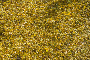 Similar image 20114159