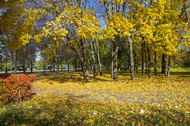 Similar image 20114166