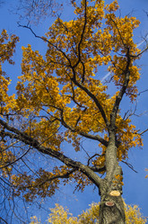 Similar image 20114167