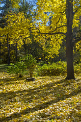 Similar image 20114168