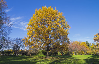 Similar image 20114169