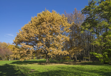 Similar image 20114170