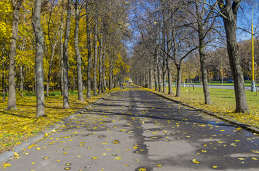 Similar image 20114171