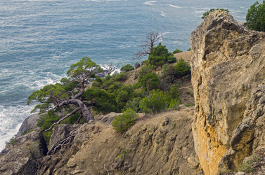 Similar image 20114200