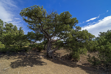 Similar image 20114210