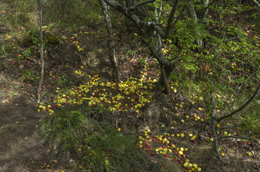 Similar image 20114197