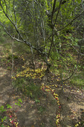 Similar image 20114199