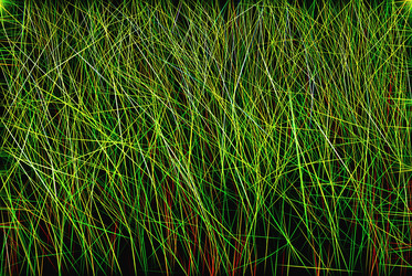 Similar image 20113905