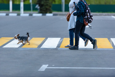 Similar image 20117637