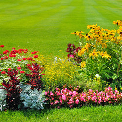 Similar image 20154771