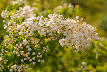 Similar image 20113880