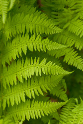 Similar image 20113911