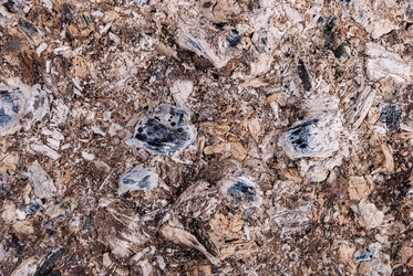 Similar image 20113917