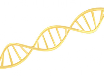 Similar image 20117171