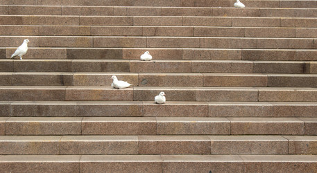 Similar image 20115199